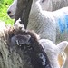 Leigh Lamb Photo 15