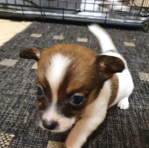 Christine Piper Photo 26