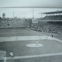 Douglas Browning Photo 24