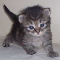 Benjamin Perry Photo 40