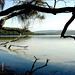 Christine Wallis Photo 25
