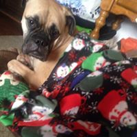 Donna Miles Photo 16