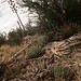 Jerome Grove Photo 8