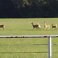 Johnny Gilmore Photo 21