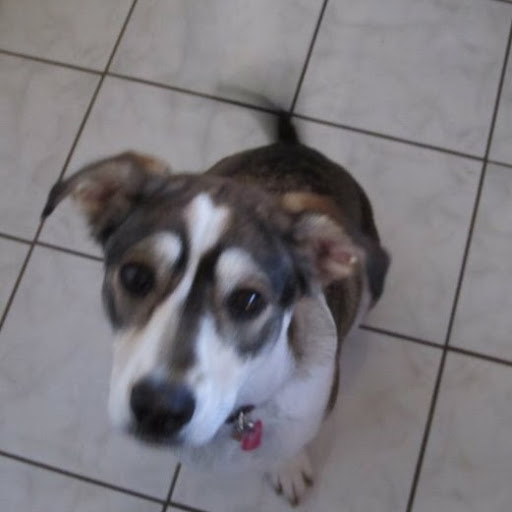 Jenny Belcher Photo 10