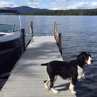 Evan Morris Photo 13