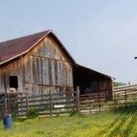 Cynthia Neel Photo 16