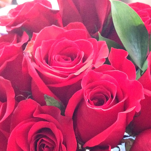 Julie Kantor Photo 14