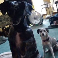 Ellen Wolfe Photo 14