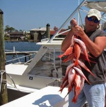 John Spicer Photo 15