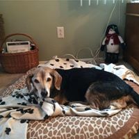 Pamela Baldwin Photo 31