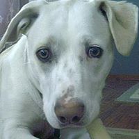 Janet Lowry Photo 16