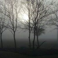 Michelle Nance Photo 15