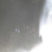 Don Bouma Photo 5