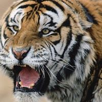 Amit Kulkarni Photo 11 Amit Kulkarni Photo 11