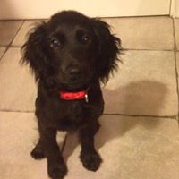 Maria Cartwright Photo 13