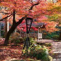 Antonio Villanueva Photo 26