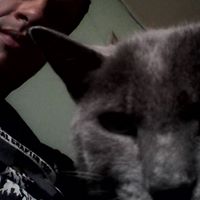 Freddy Rodriguez Photo 25
