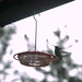 Shelia Turner Photo 35