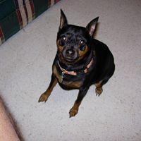 Phillip Sharp Photo 24 Phillip Sharp Photo 24