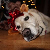 Amy Sherman Photo 12