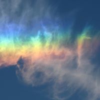 Elizabeth Tally Photo 6