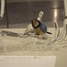 Susan Fowler Photo 21