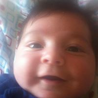 Daniel Seeger Photo 8 Daniel Seeger Photo 8