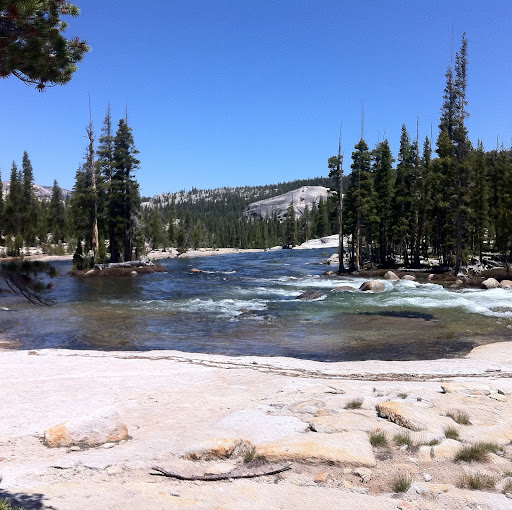 Adam Jones Photo 25 Adam Jones Photo 25