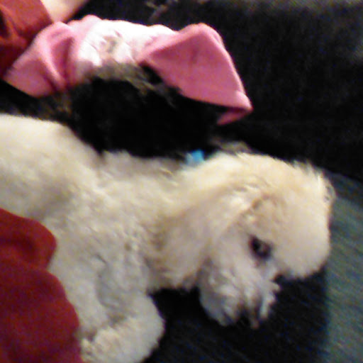 Corey Clark Photo 37