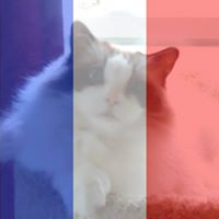 Clara Martin Photo 16