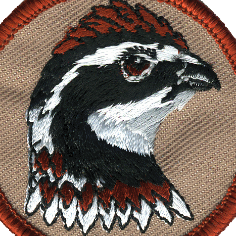 Frank Maynard Photo 24