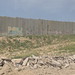 John Haram Photo 7