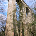 Jean Verge Photo 13