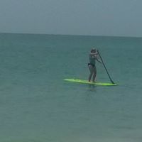 Debbie Knuth Photo 11