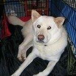 Chadwick Walter Photo 1