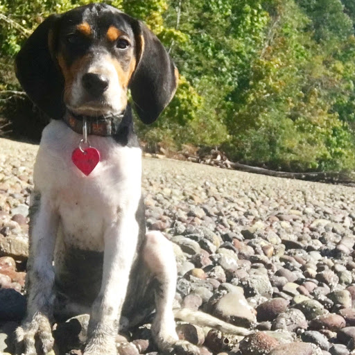 April Purdy Photo 18