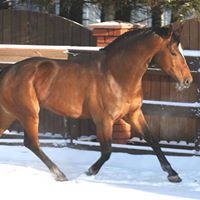 John Fallows Photo 13