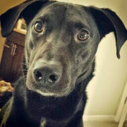 Kimberly Swain Photo 29