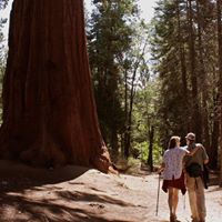 Susan Mckernan Photo 13