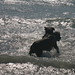 Tammy Murphy Photo 9
