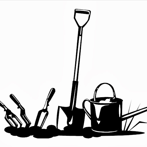 Nancy Greenberg Photo 12