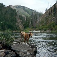 Phillip Nichols Photo 10