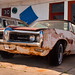 Steve Rust Photo 20