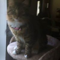 Debbie Mcclure Photo 31