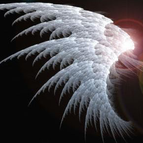 Edward Coleman Photo 22