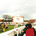 David Nicholson Photo 5