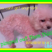 Cindy Gabel Photo 14