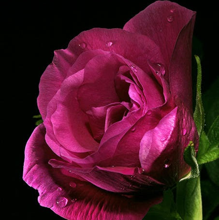 Amita Agrawal Photo 15