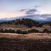 Don Cope Photo 23